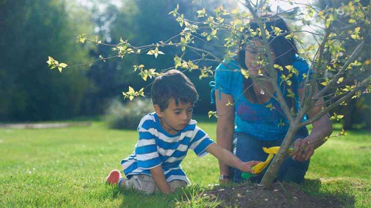 Child planting a tree with his mother